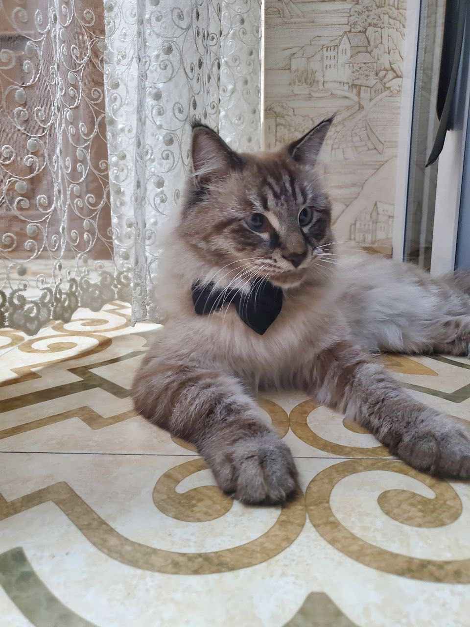 Keri Xilsonning yalangoch fotosuratlari