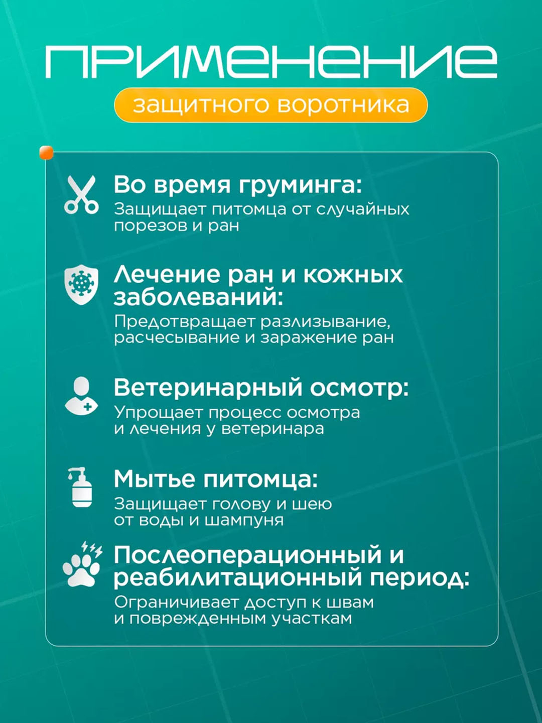 Ginekologik chayqov bilan mushuk