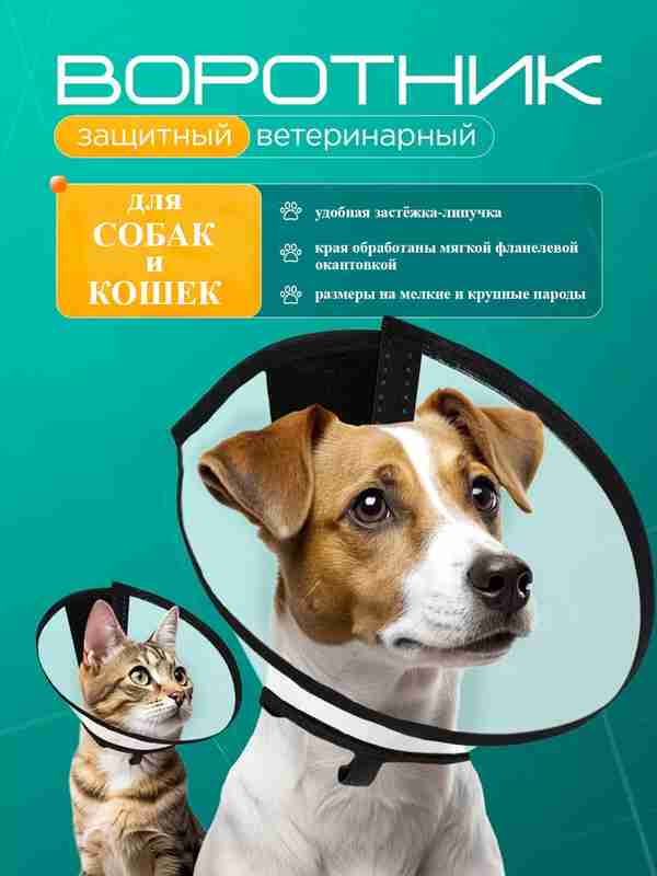 Qadimgi Rimda nudistlar va jinsiy aloqa