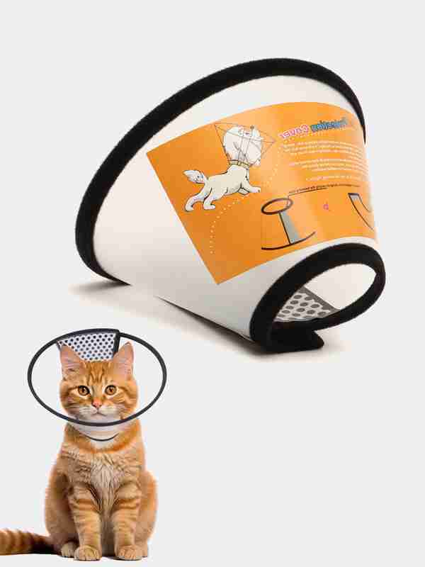 Samaradagi ayollar bilan jinsiy aloqa qilish