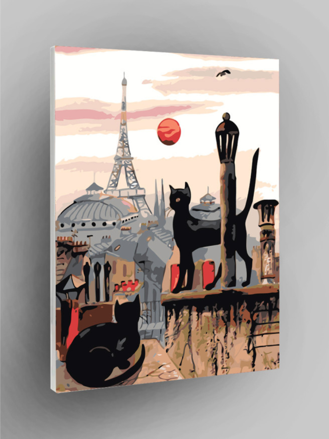 Klit bilan mushukni sikadi