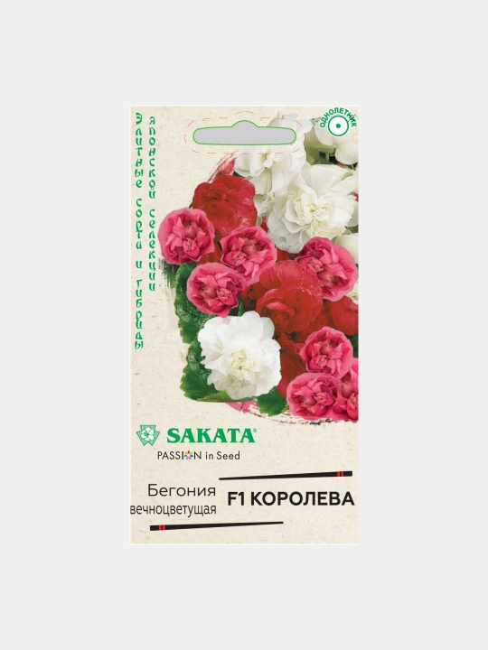 Begonia urug'lari doimiy gullaydigan Королева F1, aralash, 4 dona, duragaylari, Sakata
