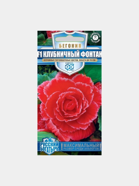 Urug'lar Begonia tuberous qulupnay favvorasi F1, 4 dona, Gavrish, rus qahramoni