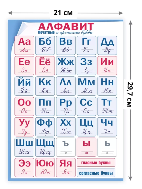 Русский алфавит, печатные и прописные буквы, таблица умножения, А4