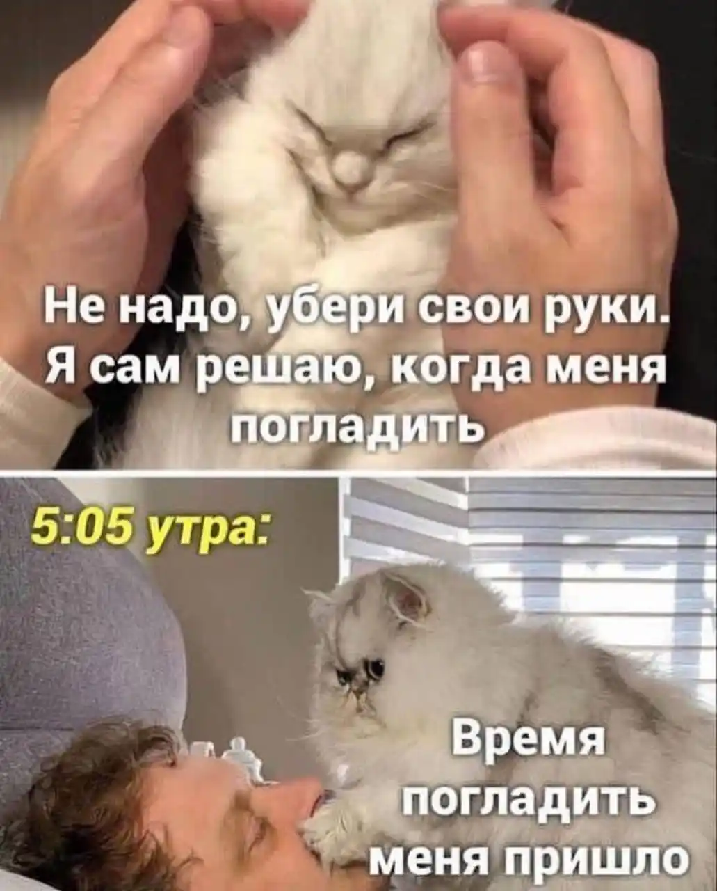 Балаклава-маска