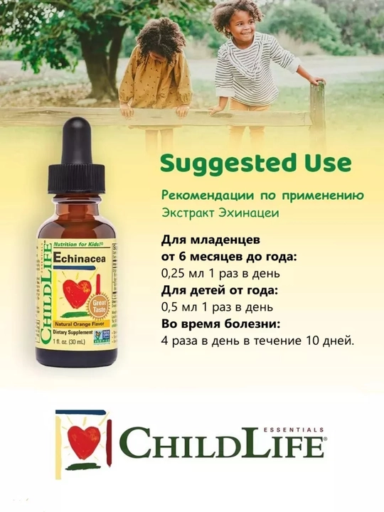 ChildLife Essentials, Эхинацея, со вкусом натурального апельсина, 30 мл