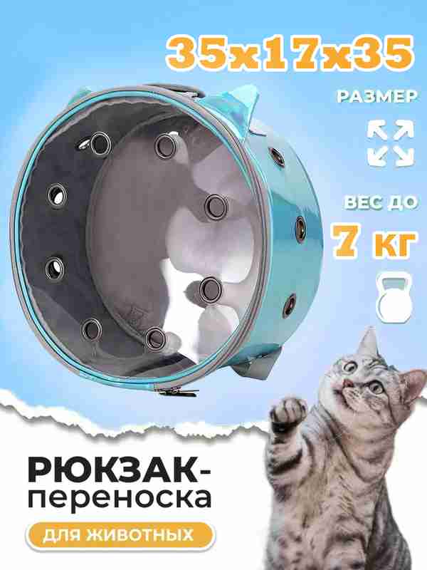 Mushuk va eshak teshiklari fotosuratlari