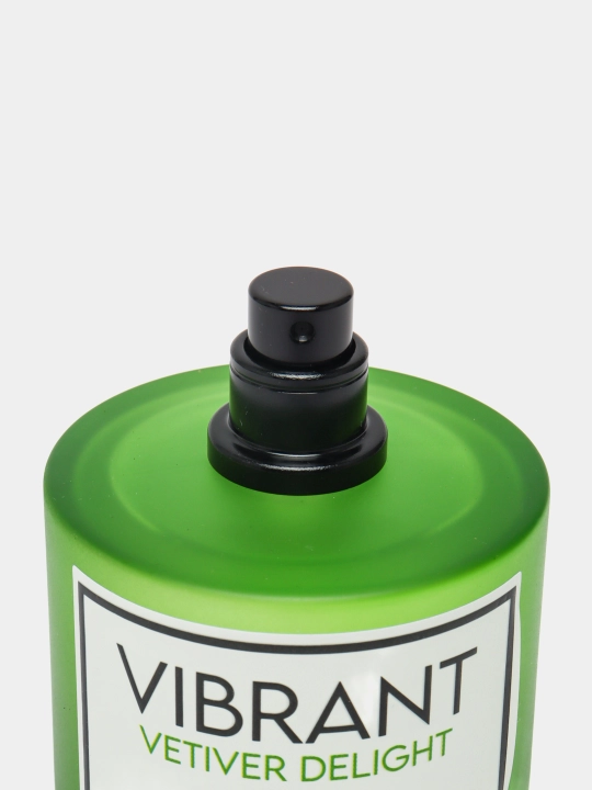 Парфюмированная вода для женщин и мужчин, VIBRANT VETIVER DELIGHT 100 мл, OAЭ