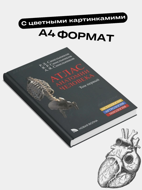 Atlas anatomii cheloveka, 4 ta tom Sinelnikov