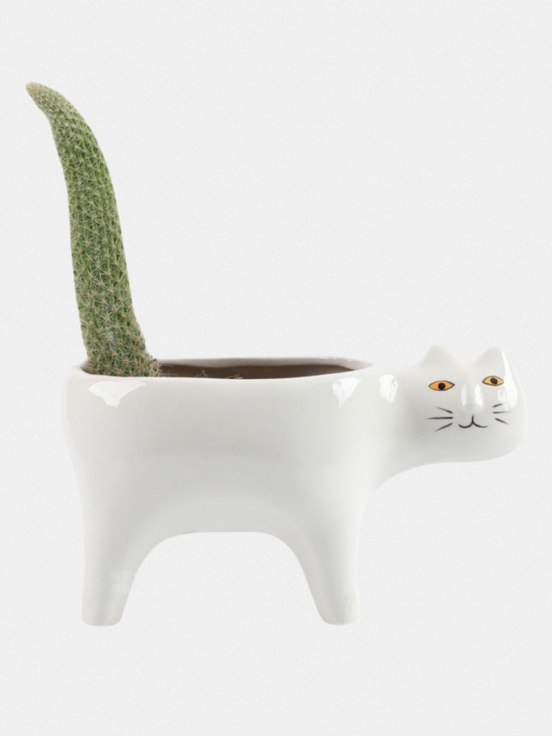 Garajda styuardessa bilan jinsiy aloqa