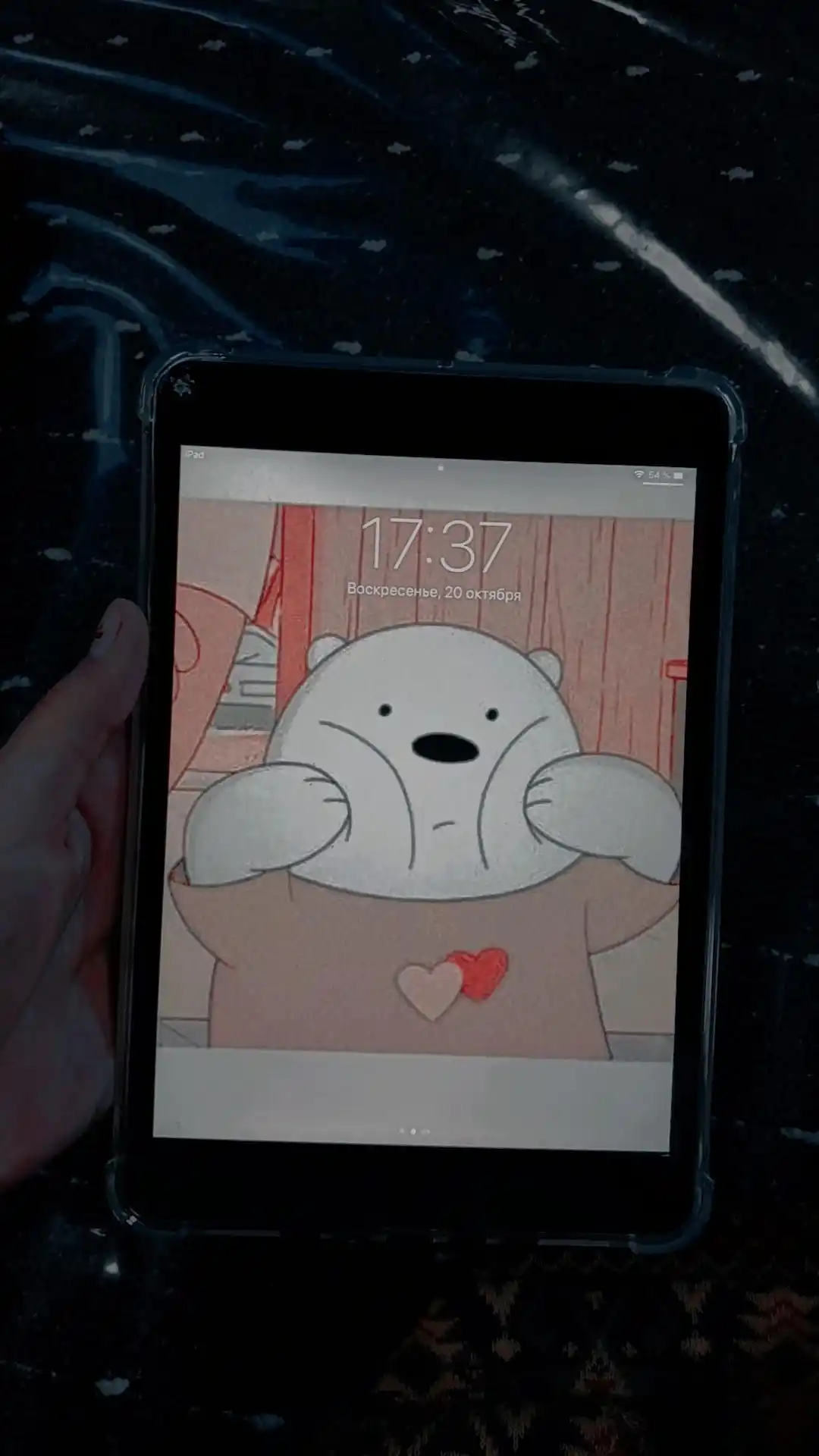 Чехлы для iPad Air, Pro, 5, 6, 7, 8, 9, 10, 10.2, 10.5, 10.9, 11, 12.9, M1, M2