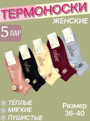 Ayollar paypoqlari va erotika