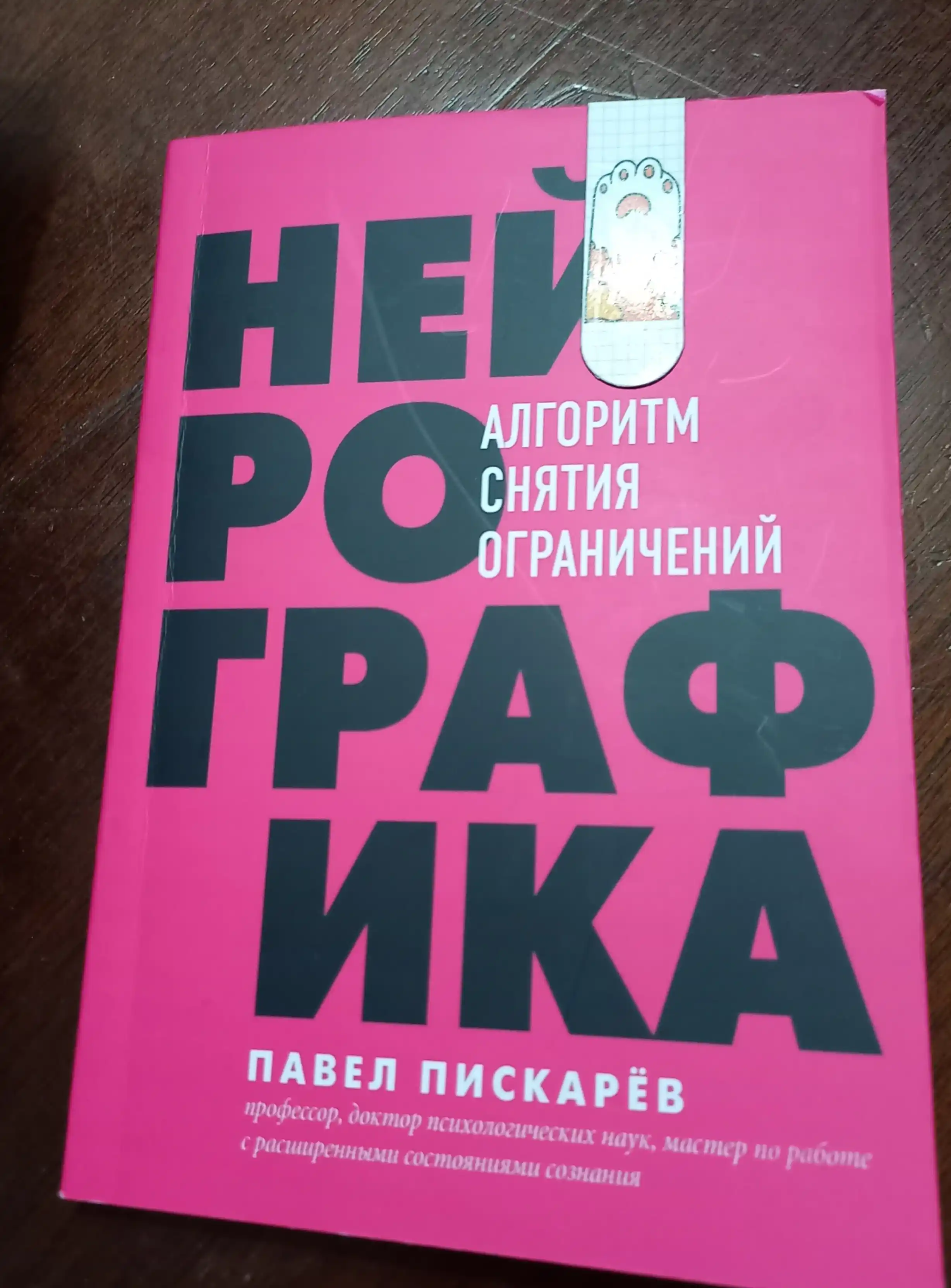 Neyrografika, Algoritm snyatiya ogranicheniy, Pavel Piskarov