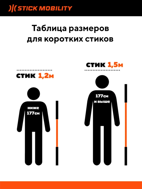 Бодибар, одинарный стик Stick mobility