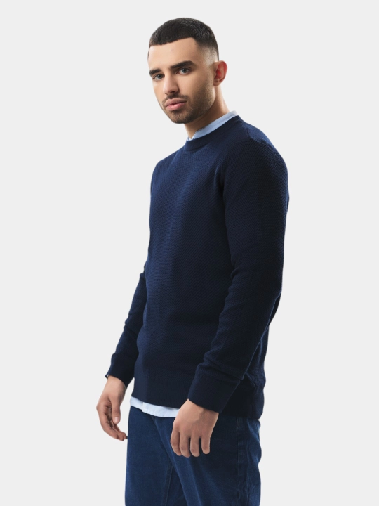 TERRA PRO uzun yengli erkaklar sviteri AW23CA2N-20-19212
