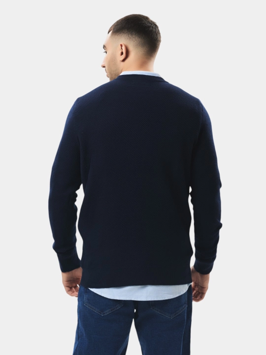 TERRA PRO uzun yengli erkaklar sviteri AW23CA2N-20-19212