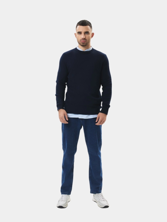 TERRA PRO uzun yengli erkaklar sviteri AW23CA2N-20-19212