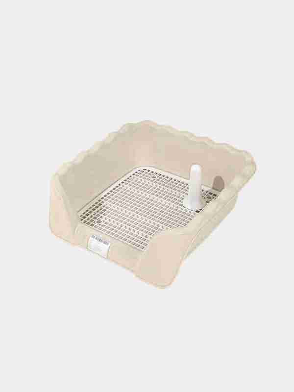 Yalangoch ayollar Porno va talabalar ertaklari