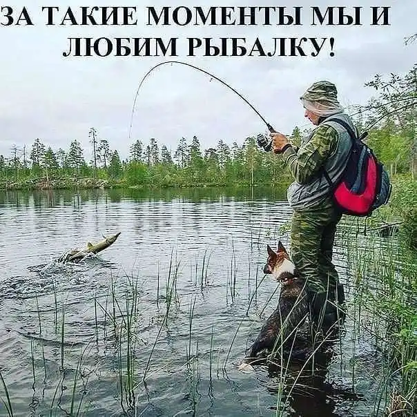 Казан узбекский с алюминиевой крышкой WOK Т405С2, 8 л
