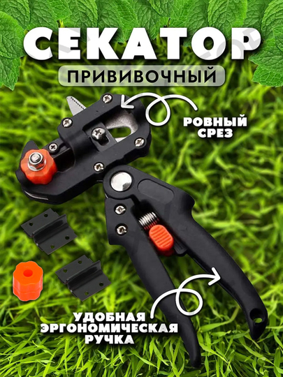 Купить Обрезка деревьев и кустарников с бесплатной доставкой за 1 день ...