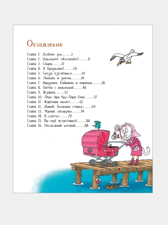 Posledniy "Kotoboy", ili Vverx i vniz po Amazonke