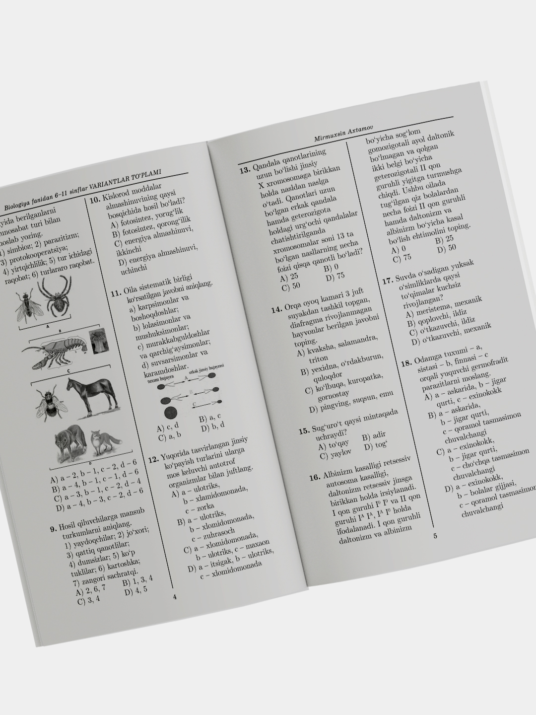 Rus tranny va belbogli