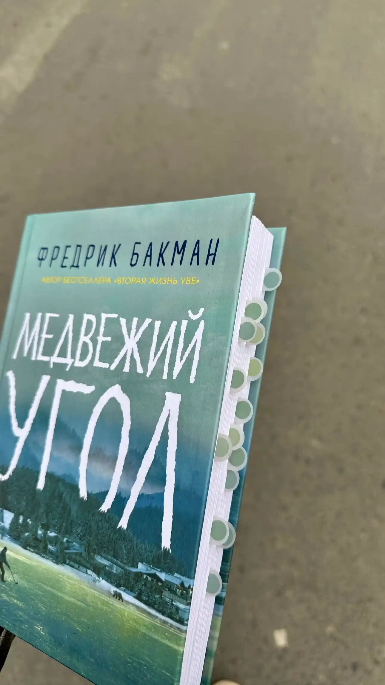 Медвежий угол, Фредрик Бакман