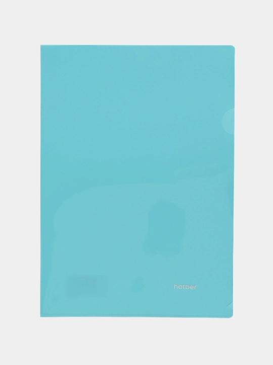 Burchak papka Hatber Premium, Shaffof emas, NEWtone PASTEL, Nezabudka, AG405025, А4, 180 mkm - 