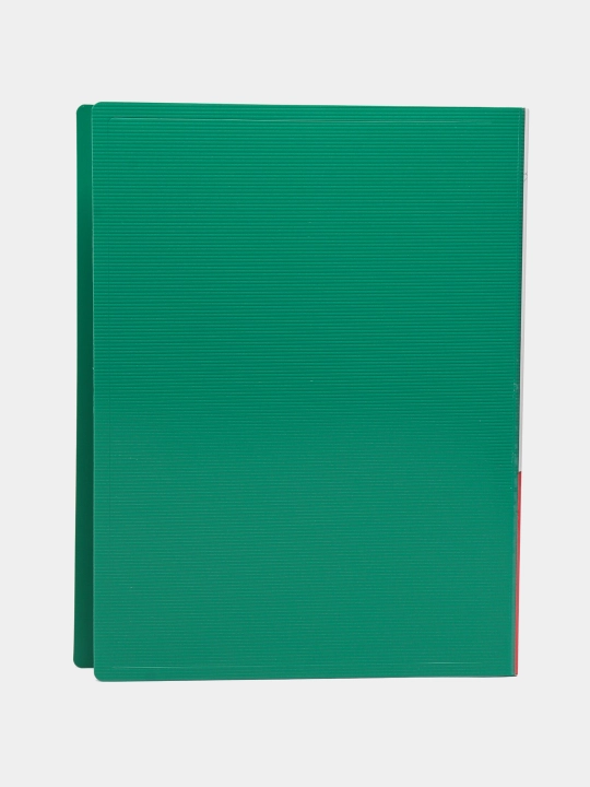 Plastik papka, 30 ta fayl, A4, yashil