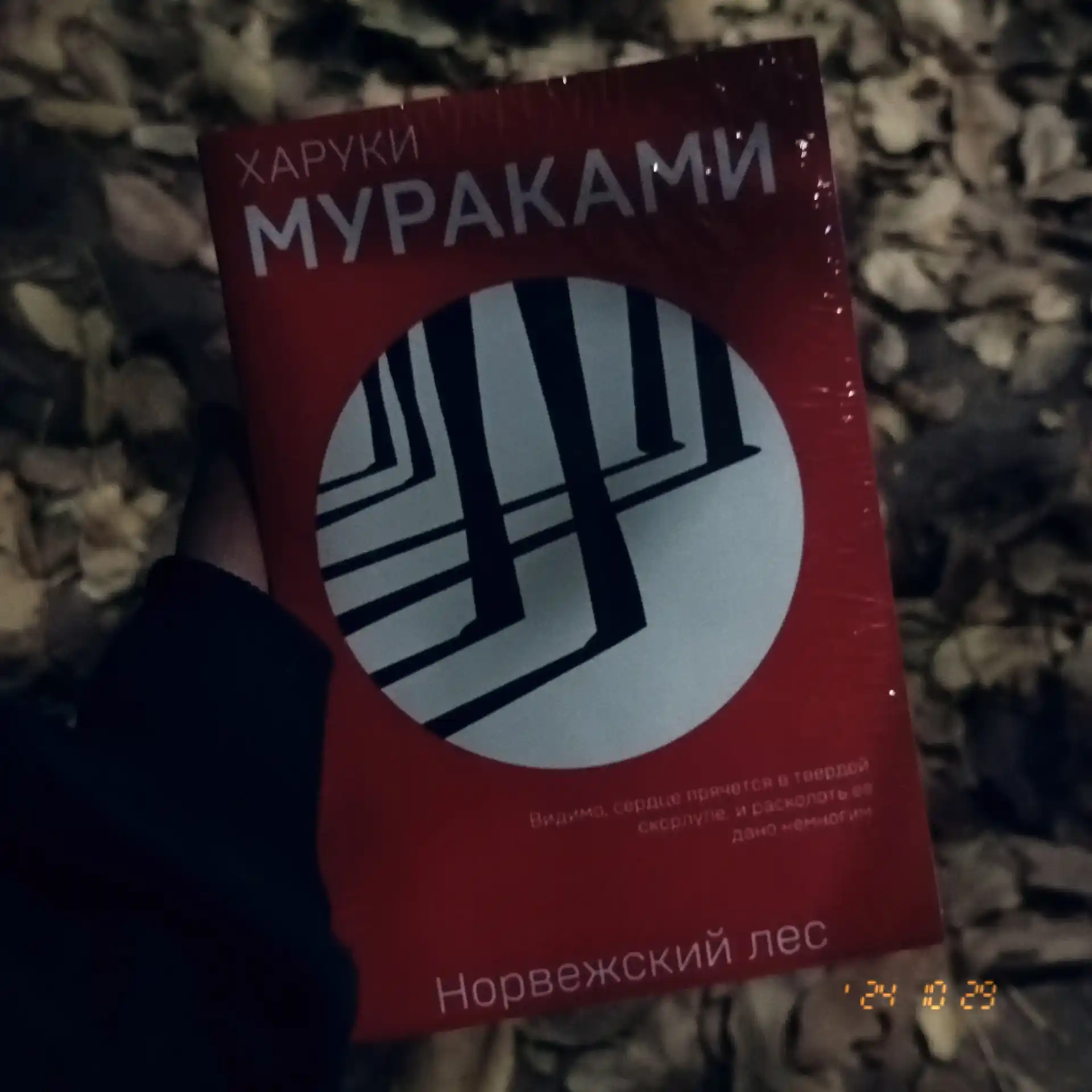 Норвежский лес, Харуки Мураками