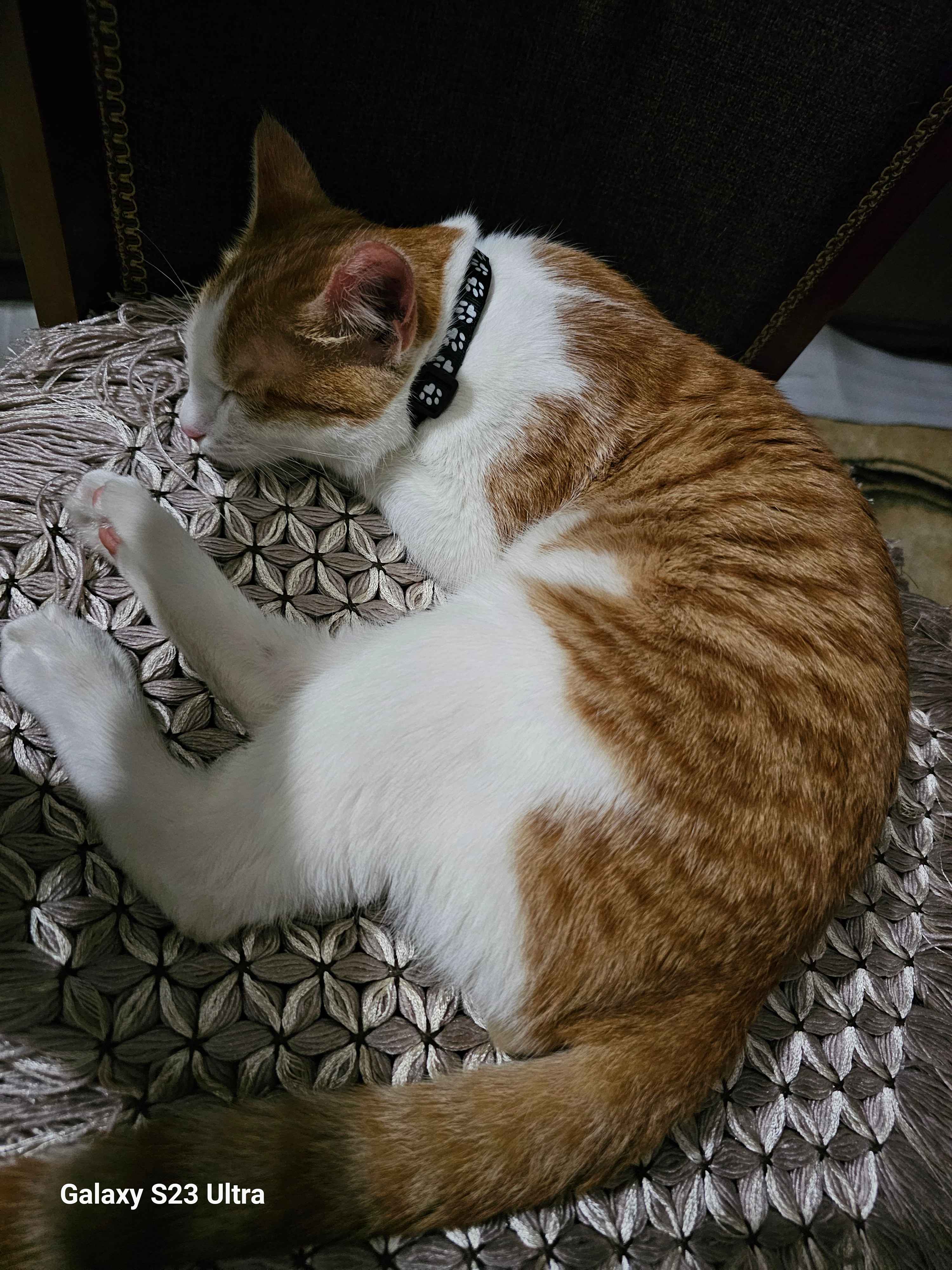 Bolgariyaning erotik plyajlari Porno jinsiy aloqa aka va opa dostlar kozida