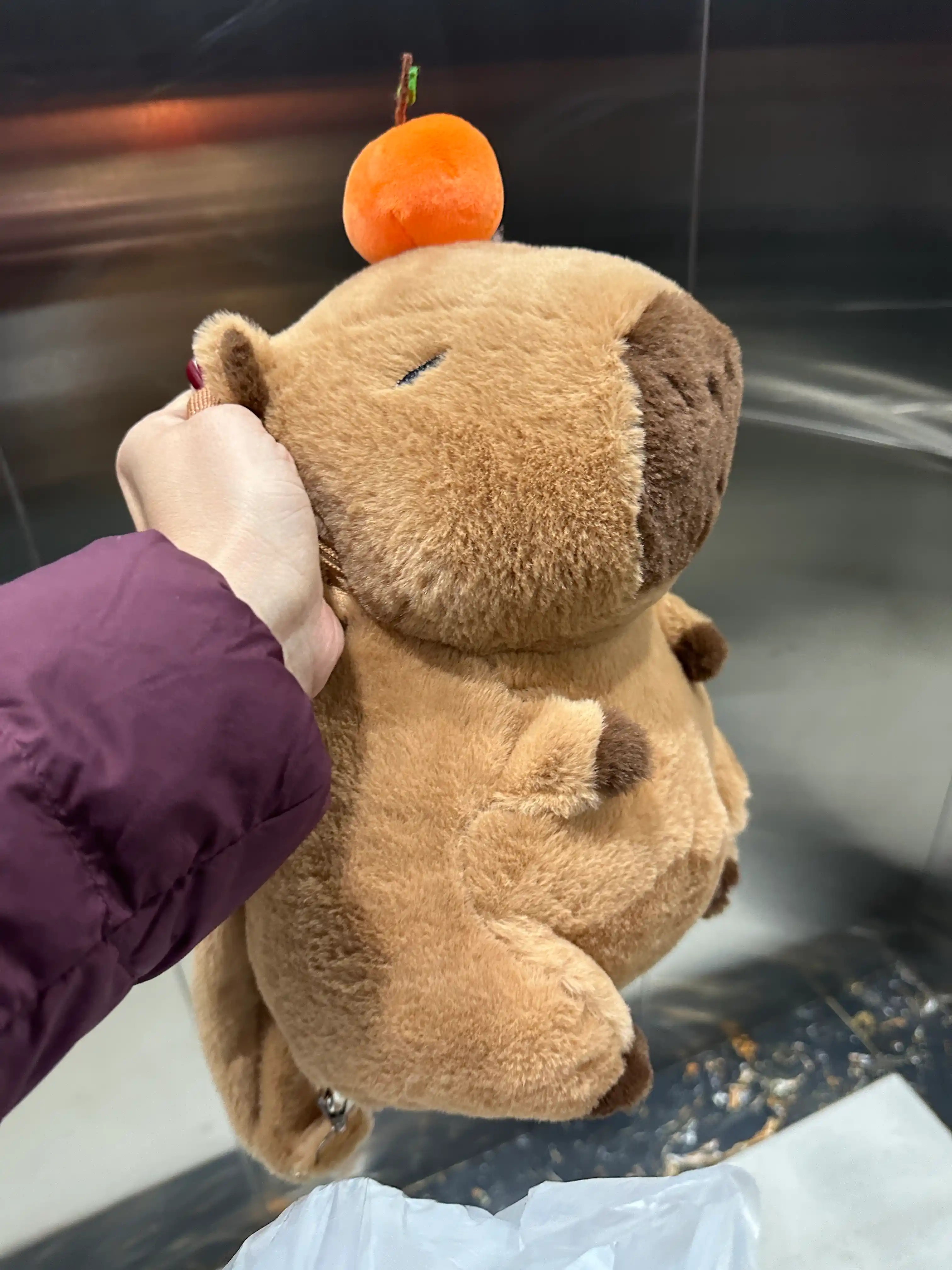 Yumshoq plush kapibara o'yinchoq, 3 tasi 1 da, bolalar uchun sumkasi
