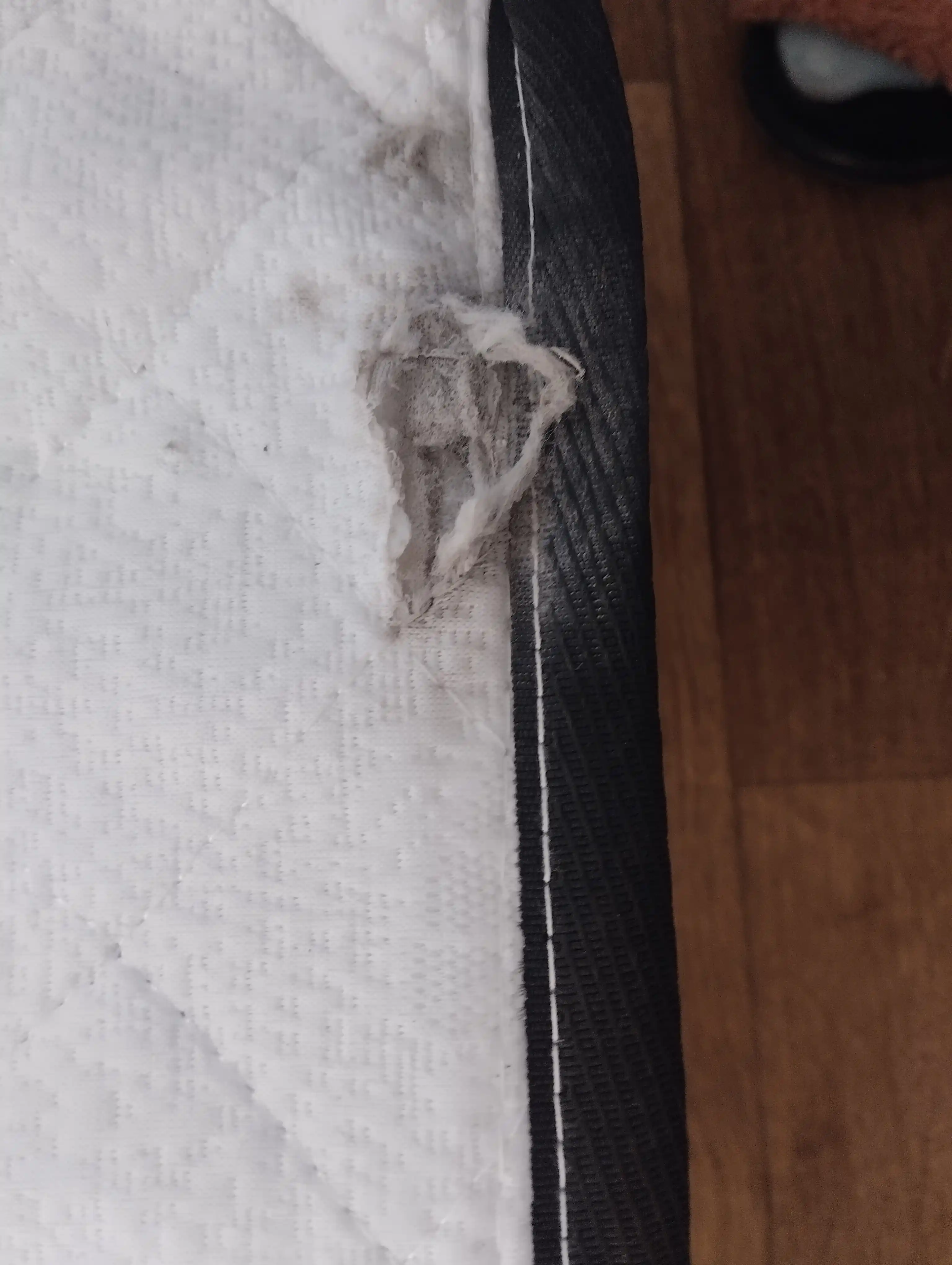 PREMIUM Yuqori sifatli ortopedik to'shak, mustaqil buloqlar, ortopedik