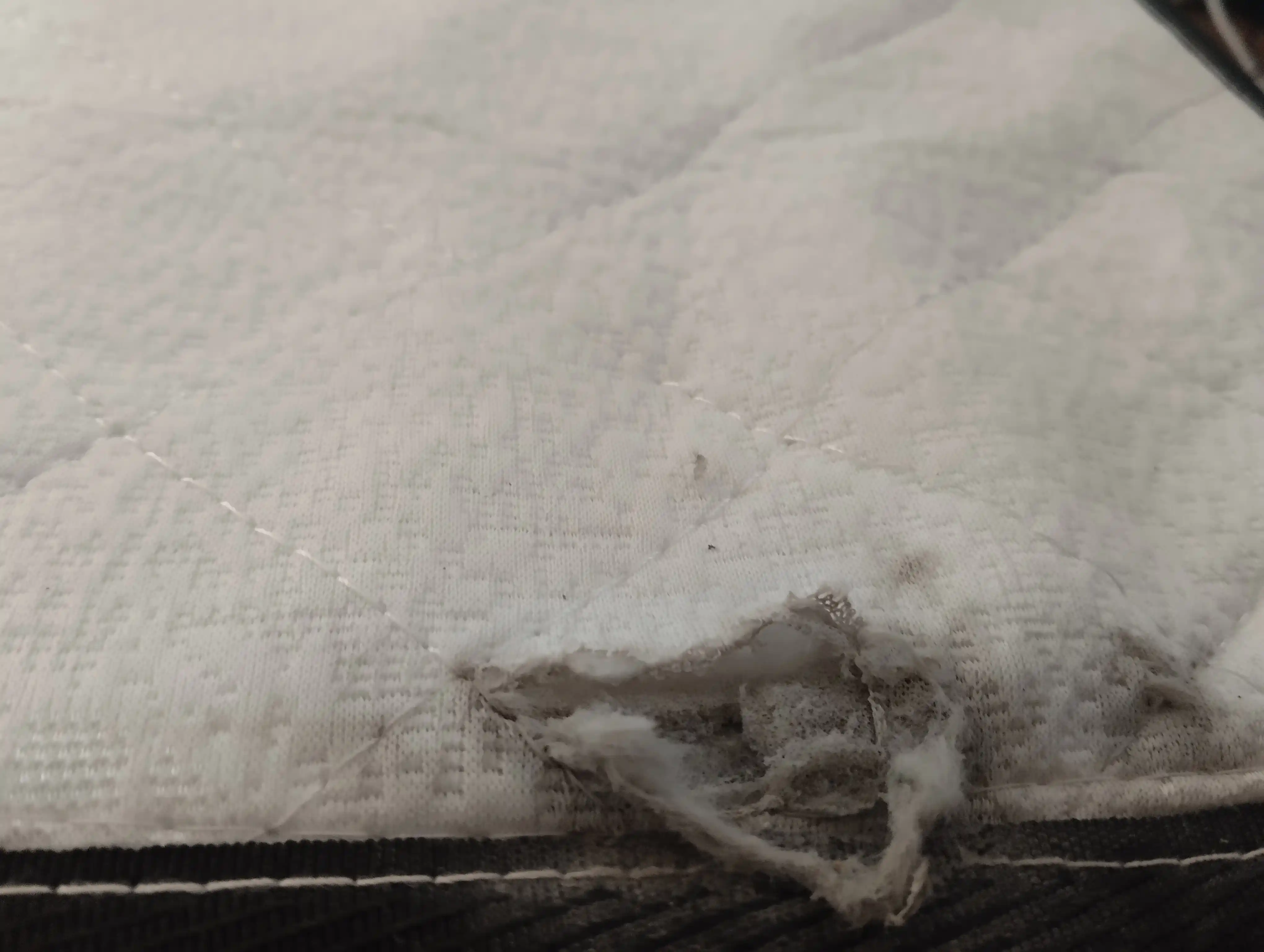 PREMIUM Yuqori sifatli ortopedik to'shak, mustaqil buloqlar, ortopedik