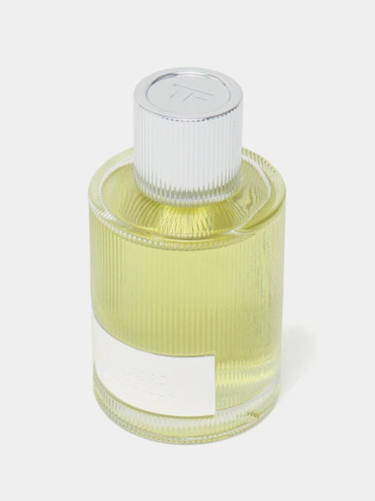 Parfyumer suvi TOM FORD BEAU DE JOUR erkaklar uchun, 100 ml