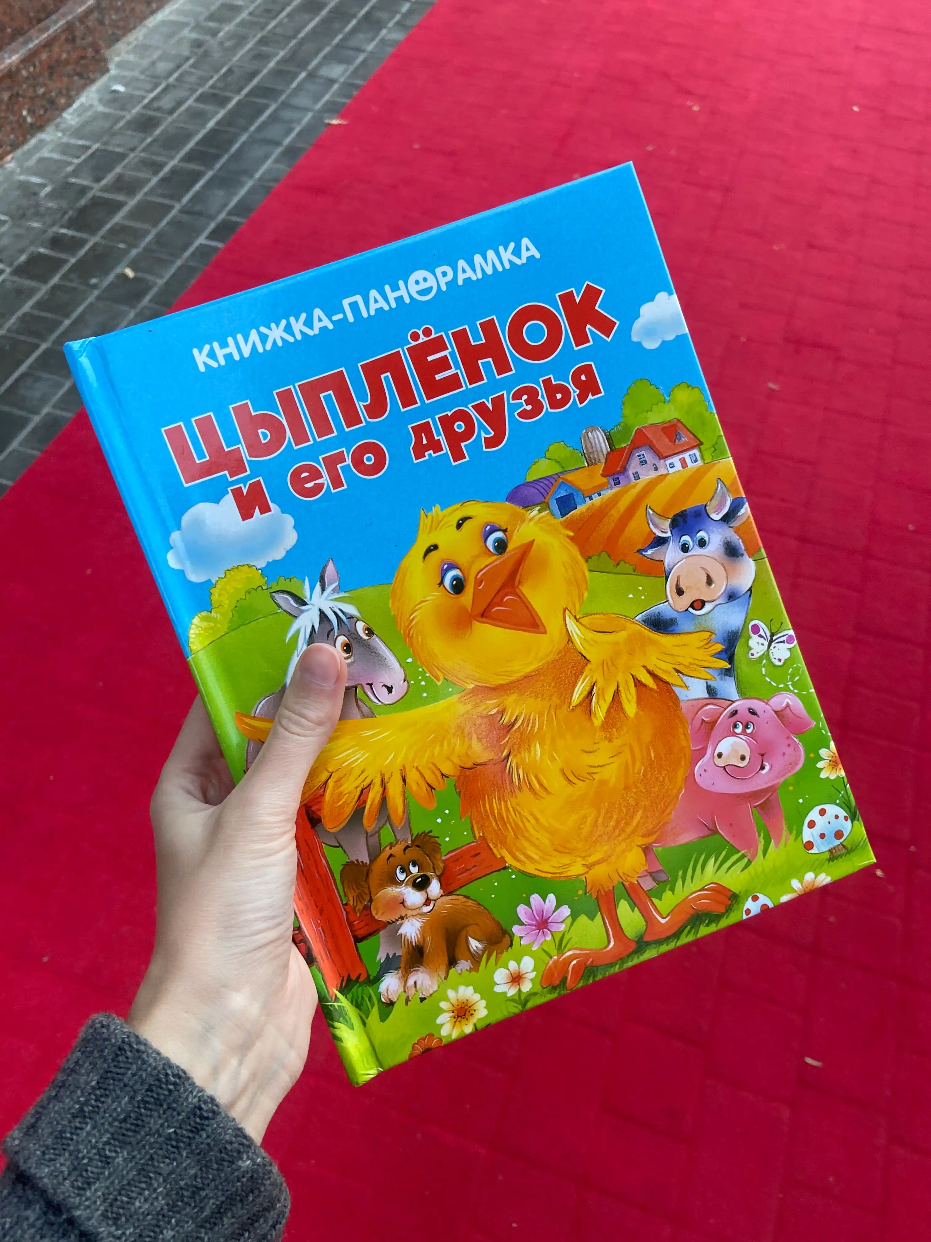 Панорамки. Цыпленок и его друзья