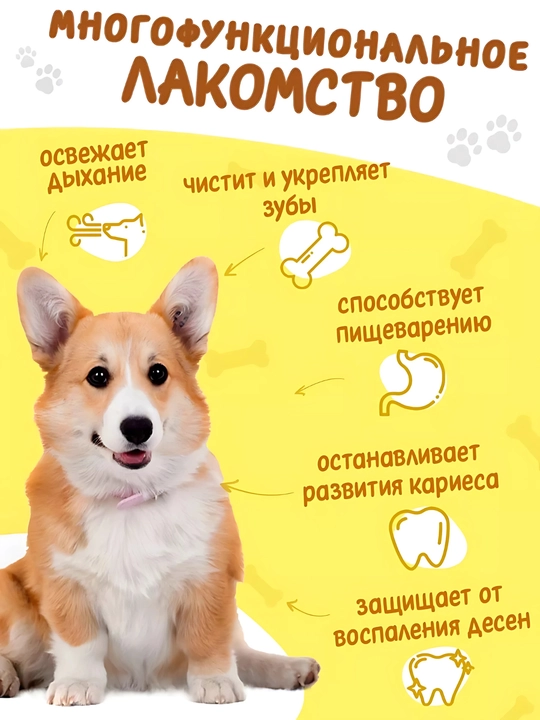 Xlorofilli chaynash suyakchalari, itlar uchun o'zgarmas mukofot