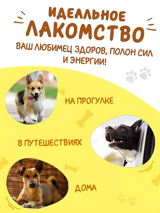 Xlorofilli chaynash suyakchalari, itlar uchun o'zgarmas mukofot
