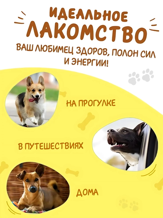 Xlorofilli chaynash suyakchalari, itlar uchun o'zgarmas mukofot