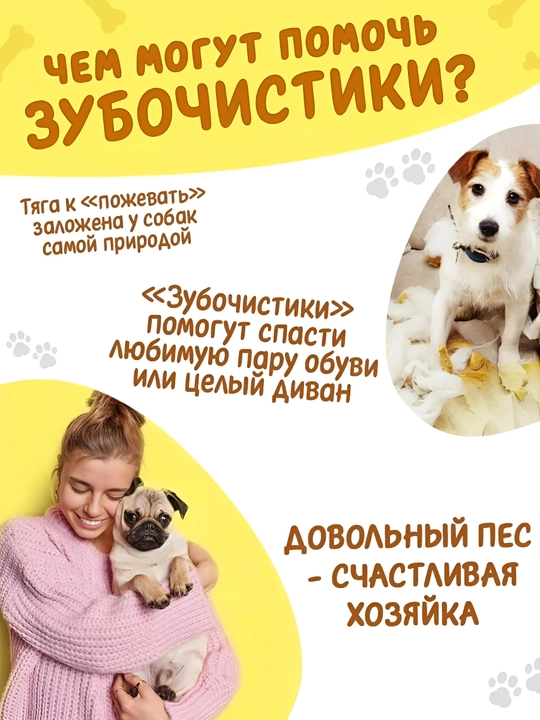 Xlorofilli chaynash suyakchalari, itlar uchun o'zgarmas mukofot
