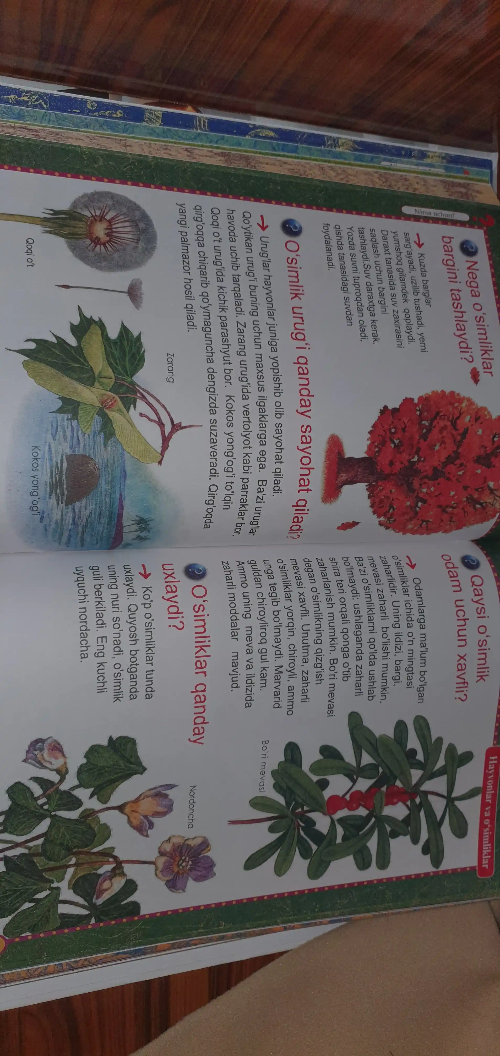 Nima uchun va shuning uchun - Bolalar ensiklopediyasi