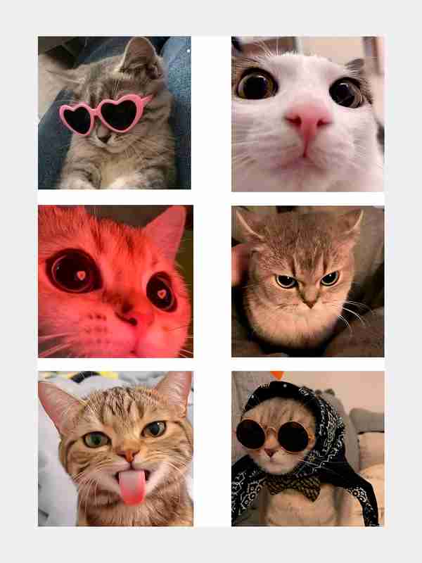 Haqiqiy guruh jinsiy aloqani tomosha qiling