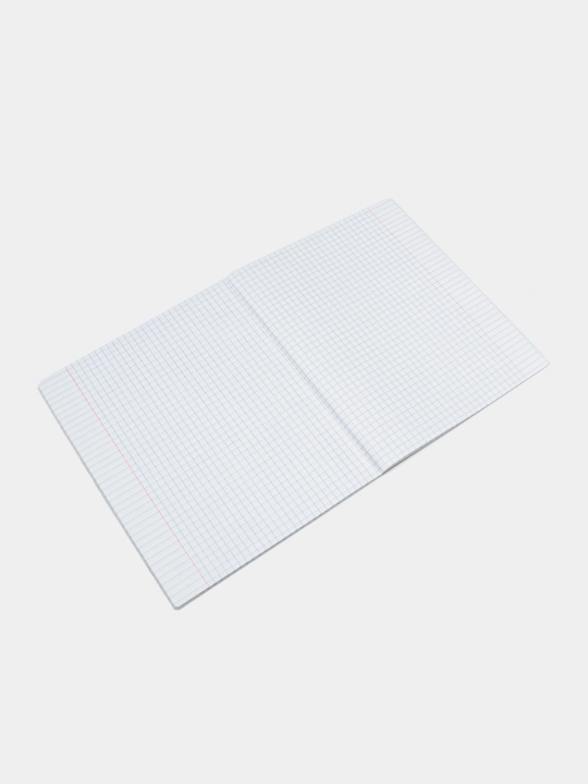 Umumiy talaba daftarchasi ErichKrause Tropik qushlar, 48 varaq, kvadrat, 60611 q0000053759