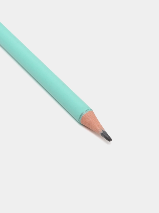 Plastik qora grafitli qalam ErichKrause JOY Pastel Bloom HB 60704 q0000053326