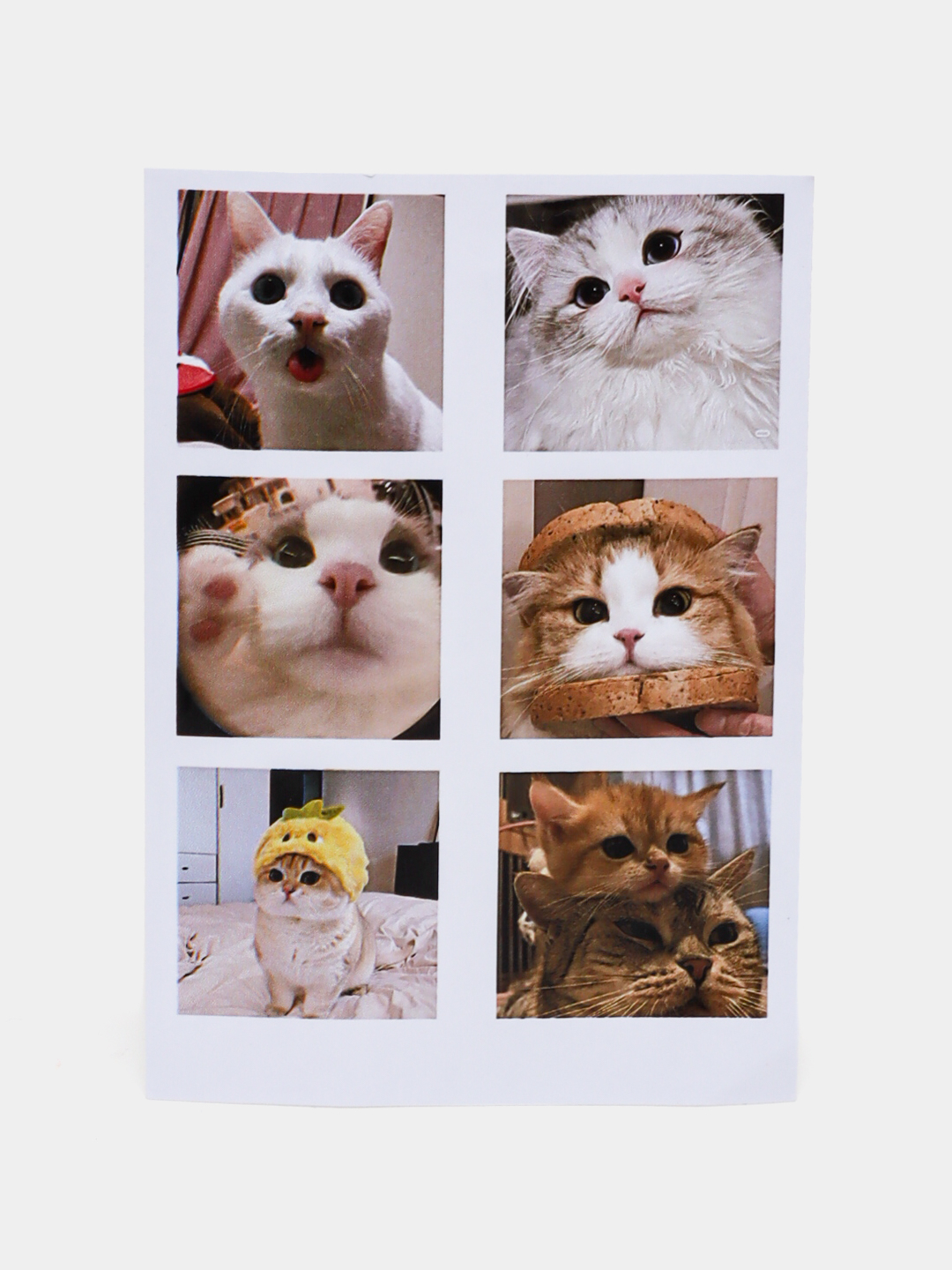 Soruvchi sik va lanj foto Nopok yapon multfilm porno