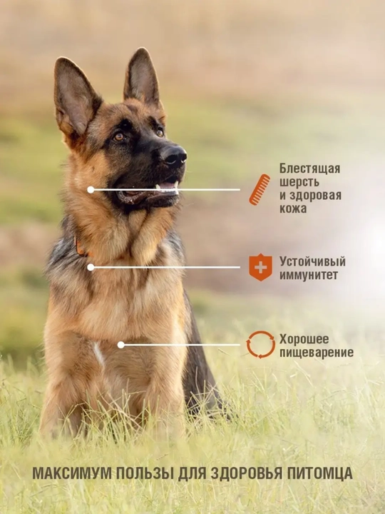 Сухой корм для взрослых собак, крупных пород Darsi Sensitive