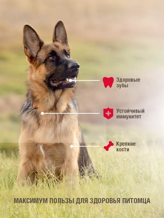 Сухой корм для взрослых собак, крупных пород Darsi Sensitive
