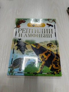 Бежевый меланж