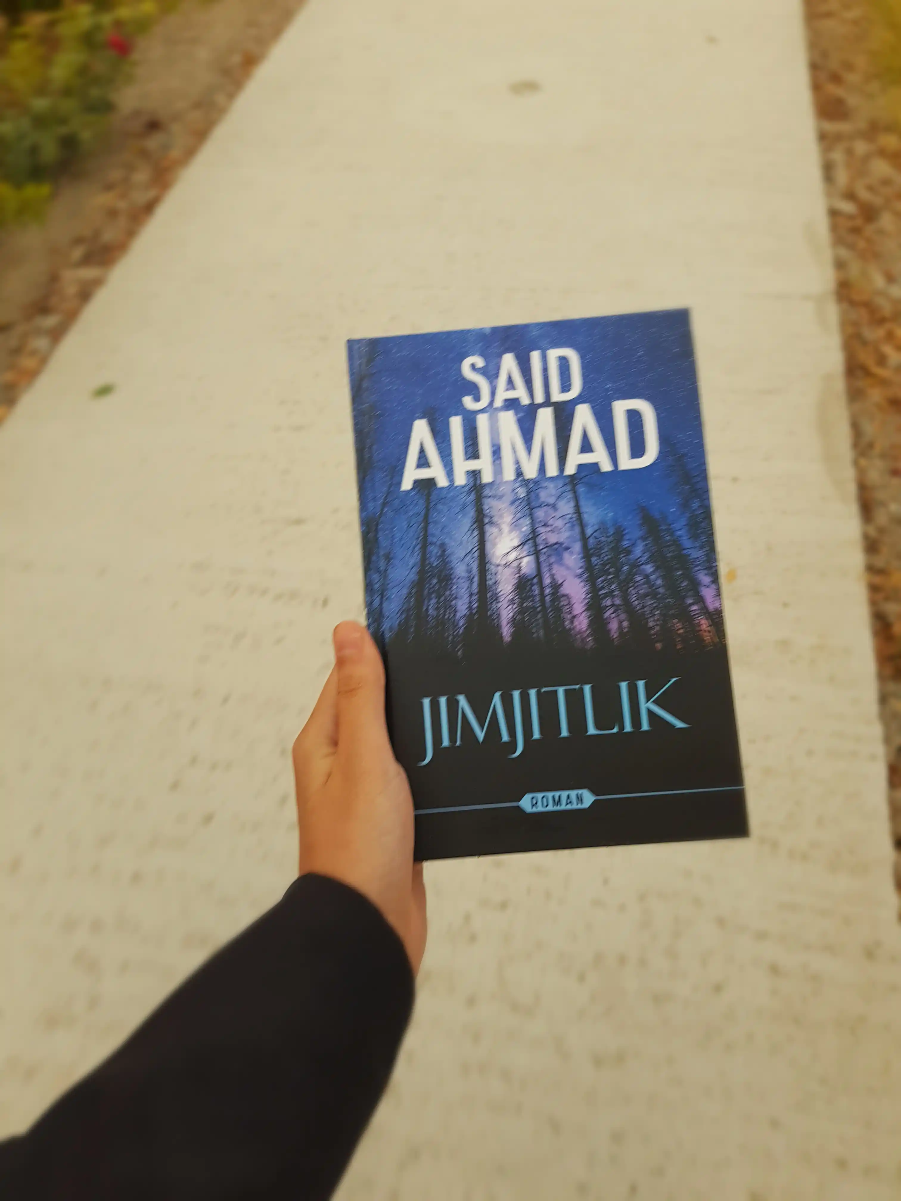 Jimjitlik, Yo'qotganlarim va topganlarim, UFQ romani, Said Axmad