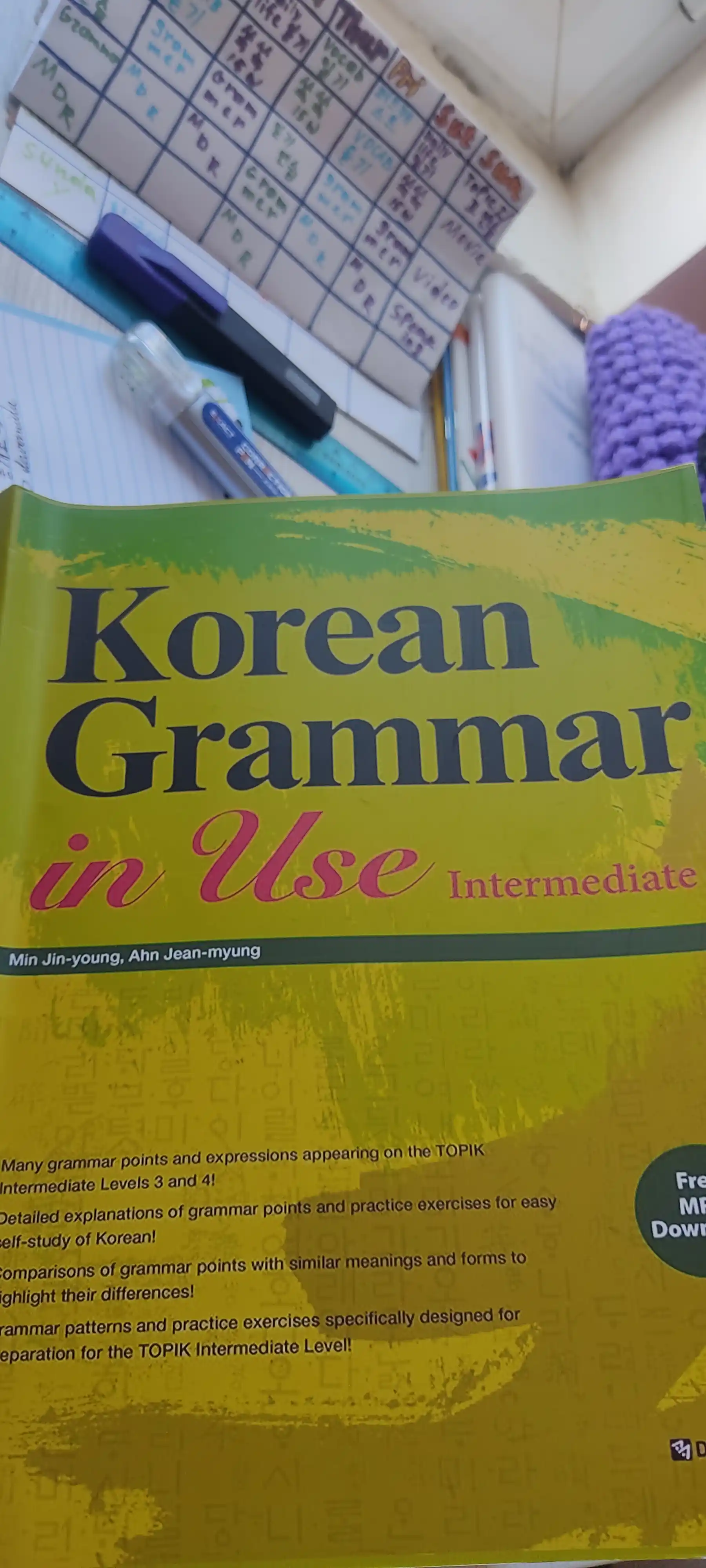 Korean Grammar in Use: Beginning, Intermediate, Advanced